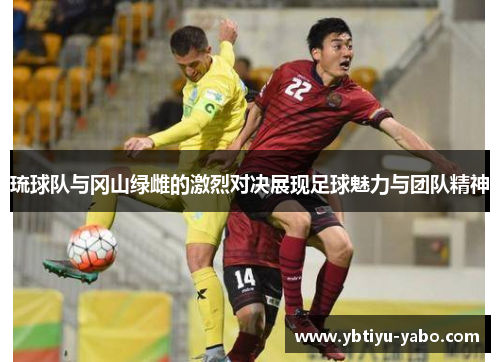 琉球队与冈山绿雌的激烈对决展现足球魅力与团队精神