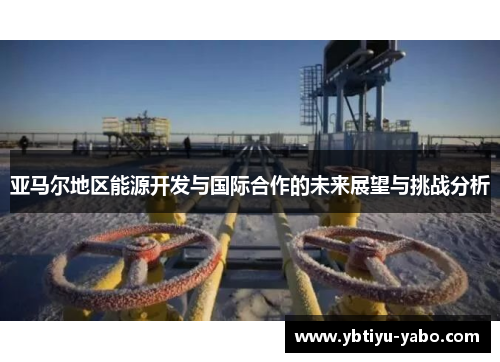 亚马尔地区能源开发与国际合作的未来展望与挑战分析